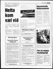 Síða 6
