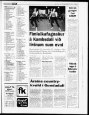Síða 15