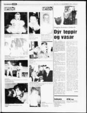 Síða 23