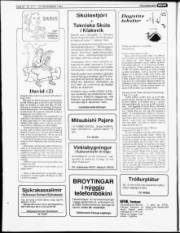 Síða 20