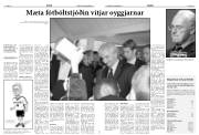 Síða 8