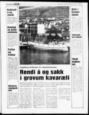 Síða 3