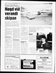 Síða 4