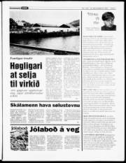 Síða 7