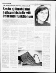 Síða 13