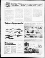 Síða 2