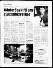Síða 3