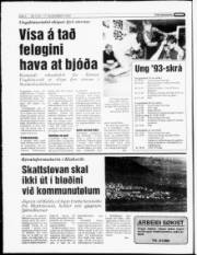 Síða 4