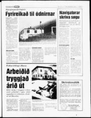 Síða 5