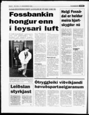 Síða 8