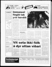 Síða 20