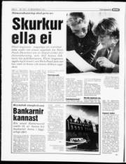 Síða 6
