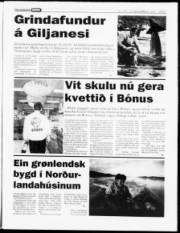 Síða 7