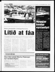 Síða 3