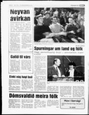 Síða 4