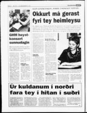 Síða 6