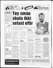 Síða 24