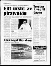 Síða 5