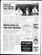 Síða 8