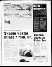 Síða 3