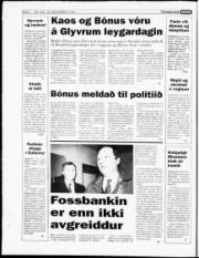 Síða 6
