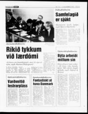Síða 13