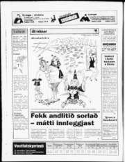 Síða 24