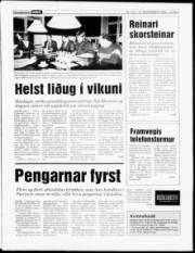 Síða 3