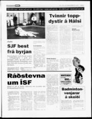 Síða 7