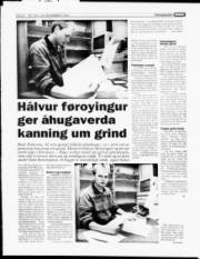 Síða 8