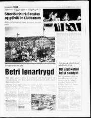 Síða 13