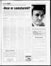 Síða 17