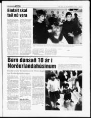 Síða 3