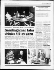Síða 6