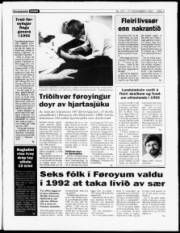 Síða 3