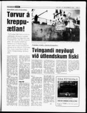 Síða 11