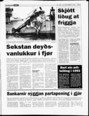 Síða 3