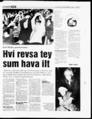 Síða 13