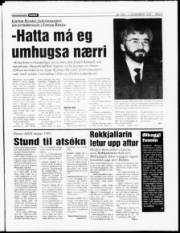 Síða 3