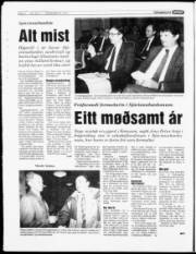 Síða 6