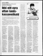 Síða 15