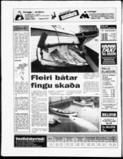 Síða 20