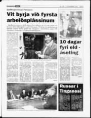 Síða 3