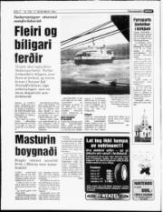 Síða 4