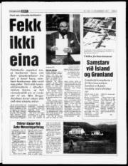 Síða 5