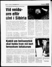 Síða 12