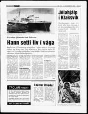 Síða 3