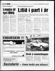 Síða 17