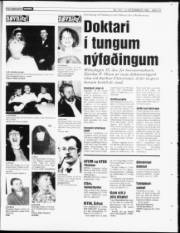 Síða 23