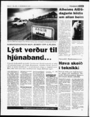 Síða 4